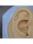 Gold Cerrahi Çelik Taşlı Mini Üçgen Piercing Helix Lob Kıkırdak Tragus 2