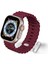 Apple Watch Uyumlu 42MM 44MM 45MM 49MM 1/2/3/4/5/6/se/7/8/ultra Akıllı Saat Ocean Kordon ve Kayışı 4