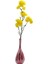 Dallı Sarı Kırçiçeği HANGHUI-004 1