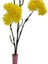 Dallı Sarı Kırçiçeği HANGHUI-004 2