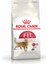 Fit 32 Kedi Maması - 4 kg 1