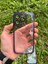 Iphone 11 Sp Lens Korumalı Silikon Telefon Kılıfı 1