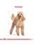 Poodle Adult Yetişkin Köpek Maması 3 kg 3