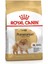 Pomeranian Adult Yetişkin Köpek Maması 1.5 kg 4