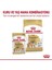 Pomeranian Adult Yetişkin Köpek Maması 1.5 kg 5