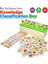 Circle Toys Ahşap Bilgi Sınıflandırma Kutusu Eğitici Mazgallı Oyuncak 88 Parça Knowledge Classification Box 5