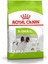 Xsmall Adult Yetişkin Köpek Maması 3 kg 2