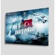 Seçili Renk Renkli