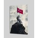 Seçili Renk Renkli