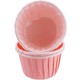  Renk Pembe