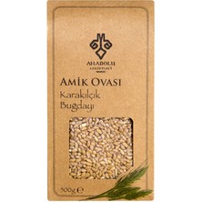 Anadolu Lezzetleri Amik Ovası Karakılçık Buğdayı 500 gr