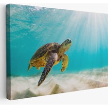Harita Sepeti Caretta Caretta Dekoratif Kanvas Tablo 1174