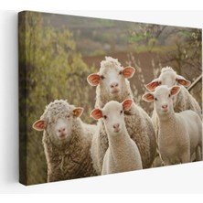 Harita Sepeti Koyun Kuzu Dekoratif Kanvas Tablo 1119