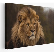 Harita Sepeti Aslan Dekoratif Kanvas Tablo 1159