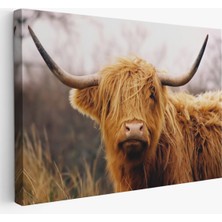 Harita Sepeti Amerikan Yayla Ineği Kanvas TABLO-5156