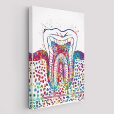 Harita Sepeti Renkli Diş, Diş Hekimi Duvar TABLOSU-6300