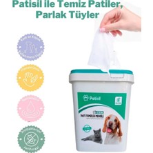 Patisil Evcil Hayvan Tüy ve Pati Temizleme Mendili 400 Yapraklı Kova
