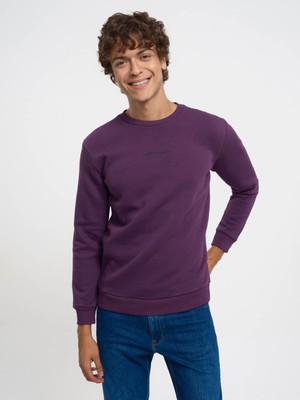 Loft Erkek Sweatshirt Mor LF2034268