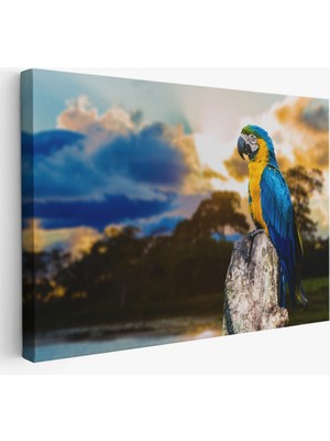 Harita Sepeti Papağan Dekoratif Kanvas Tablo 1123