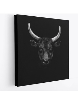 Harita Sepeti Boğa Dekoratif Kanvas TABLO-5809