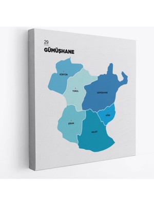 Harita Sepeti Gumüşhane  Ili ve Ilçeler Haritası  Dekoratif Kanvas Tablo 1350