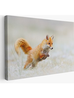 Harita Sepeti Tilki Dekoratif Kanvas Tablo 1165