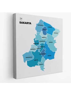 Harita Sepeti Sakarya Ili ve Ilçeler Haritası  Dekoratif Kanvas Tablo 1444