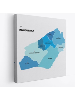 Harita Sepeti Zonguldak Ili ve Ilçeler Haritası  Dekoratif Kanvas Tablo 1489