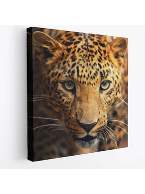 Harita Sepeti Leopar Dekoratif Kanvas TABLO-5811