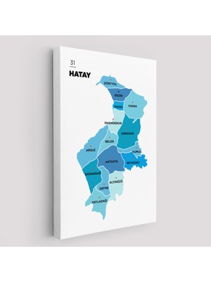 Harita Sepeti Hatay  Ili ve Ilçeler Haritası  Dekoratif Kanvas Tablo 1356