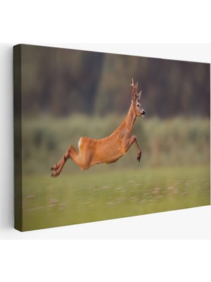 Harita Sepeti Koşan Geyik Dekoratif Kanvas Tablo 1170