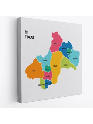 Harita Sepeti Tokat Ili ve Ilçeler Haritası  Dekoratif Kanvas Tablo 1466