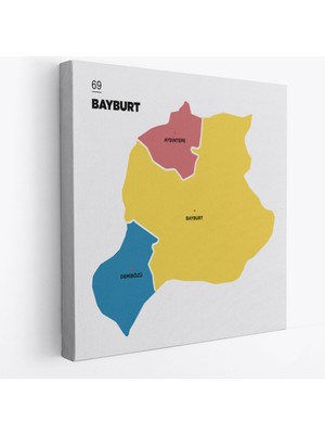 Harita Sepeti Bayburt Ili ve Ilçeler Haritası  Dekoratif Kanvas Tablo 1289