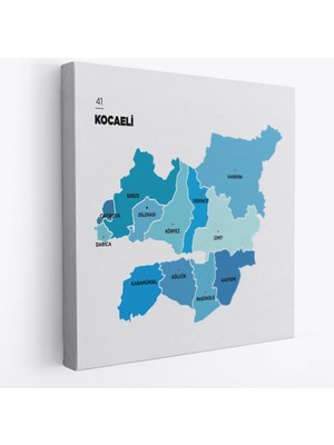 Harita Sepeti Kocaeli  Ili ve Ilçeler Haritası  Dekoratif Kanvas Tablo 1402