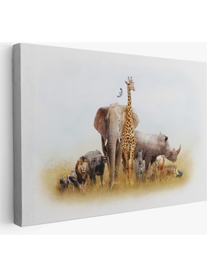 Harita Sepeti Hayvanlar Alemi Dekoratif Kanvas Tablo 1146