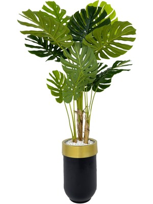 Biçiçek Monstera Ağacı 170CM Siyah Gold Metal Darbuka Saksıda