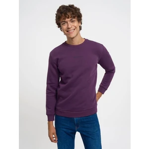 Erkek Sweatshirt Mor LF2034268