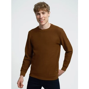 Erkek Sweatshirt Kahverengi LF2025441