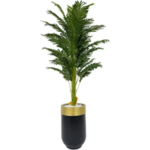 Areka Palmiyesi 170CM Metal Siyah Gold Darbuka Saksıda