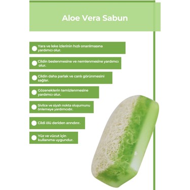 alocasia zebrina natur Tipps zur Pflege deiner Pflanze : Alocasia zebrina – PflanzenFuerAlle main image 0
