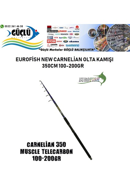 Surf Olta Kamışı Eurofısh Carnellian Surf 350 100-200GR fiyatları