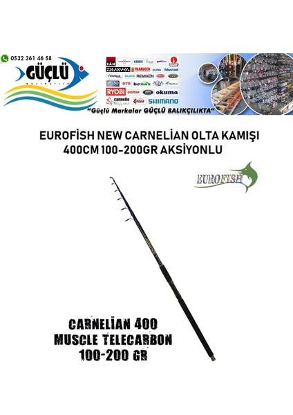 Surf Olta Kamışı Eurofısh Carnelian Surf 400 100-200GR fiyatları
