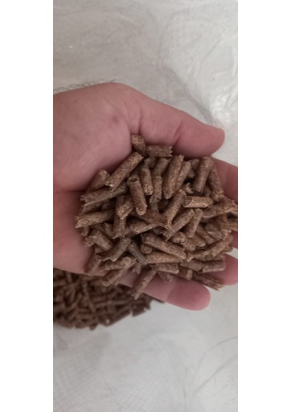 Pelet Çam
