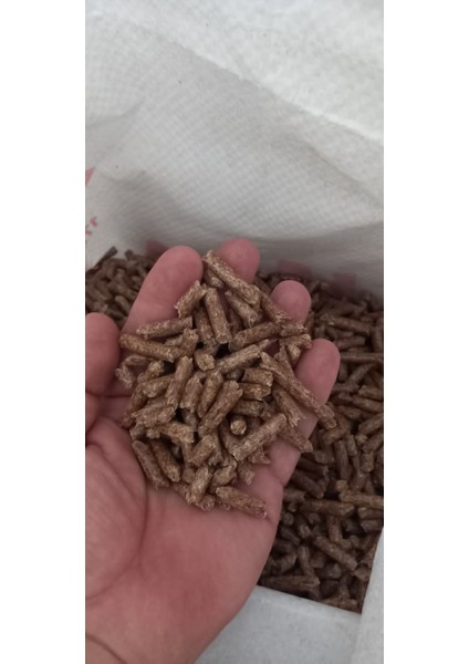 Pelet Çam