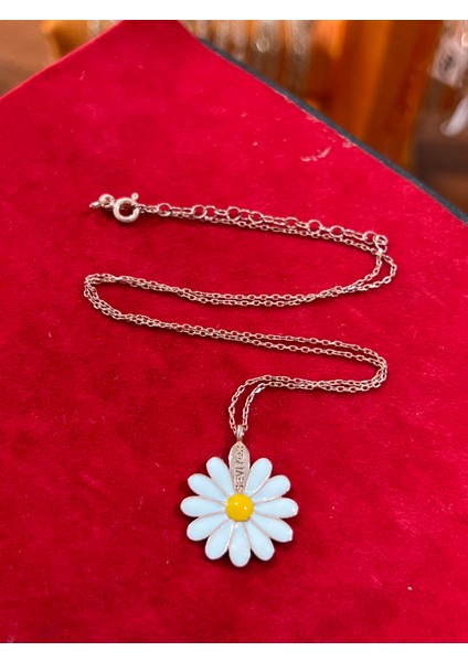 Gümüş Kolye fiyatları