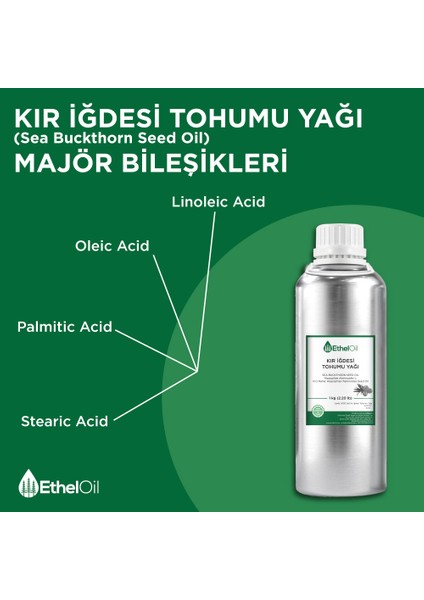 Kır Iğdesi Tohumu Yağı 1 kg Uçucu Yağ