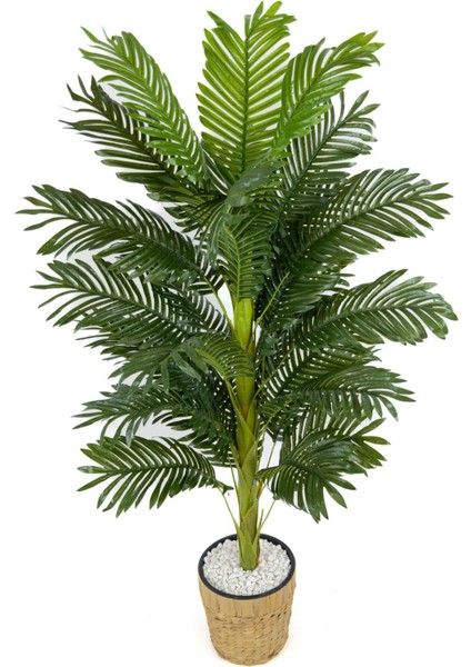 Areka Palmiyesi 140CM Hasır Saksıda Fejka