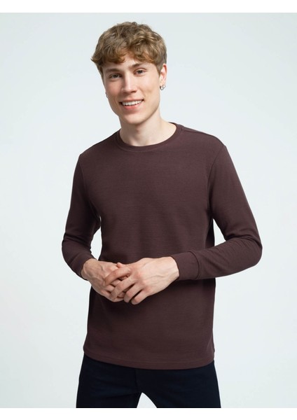 Erkek Sweatshirt Bordo LF2034194