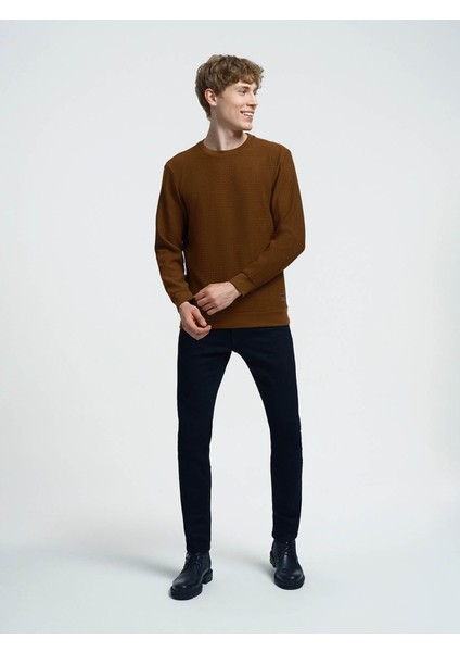 Erkek Sweatshirt Kahverengi LF2025441