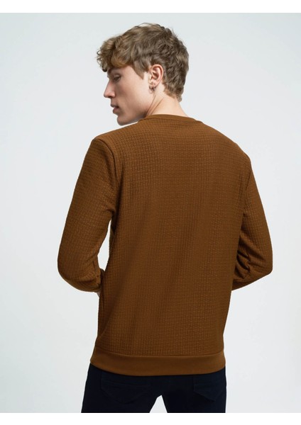 Erkek Sweatshirt Kahverengi LF2025441